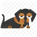 Bassê  Ícone