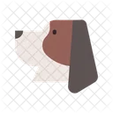 Basset Hound Breed Icon