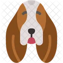 Basset Hound Mammal Pet Icon