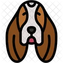 Basset Hound Mammal Pet Icon