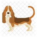 Basset Hound Dog Puppy Icon