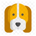Basset Hound Pet Dog Dog Icon