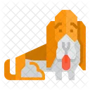 Basset Hound Hund  Symbol