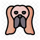 Basset hound  Icon