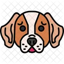 Basset hound  Ícone