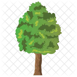 Basswood Tree  Icon