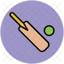 Bat Ball Cricket Icon