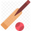 Bat Cricket Elections Icon
