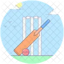 Bat Ball Cricket Equipment Cricket Icon