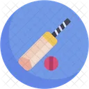 Bate De Cricket Cricket Pelota De Cricket Icono