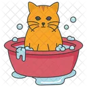 목욕하는 고양이  아이콘