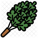 Batidor de roble  Icono