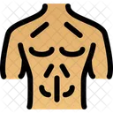Peito Anatomia Corpo Ícone