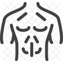 Peito Anatomia Corpo Ícone