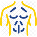 Peito Anatomia Corpo Ícone