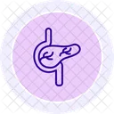 Pankreas Liniensymbol Symbol