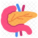 Bauchspeicheldruse Verdauungssystem Gesund Symbol