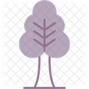 Baum  Icon