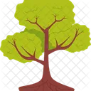 Baum  Symbol