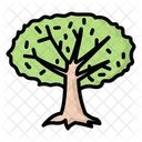 Baum Icon