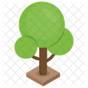 Baum Pflanze Wald Symbol