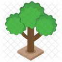 Baum Pflanze Wald Symbol