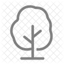 Baum  Symbol