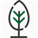 Baum Wald Wald Symbol