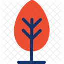 Baum Wald Wald Symbol
