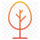 Baumbau Baum Oko Symbol