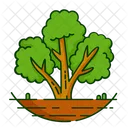 Baum  Symbol