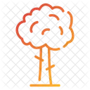 Baum  Symbol