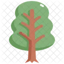 Baum  Symbol