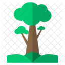 Baum  Symbol