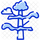 Baum Wolken Regen Icon