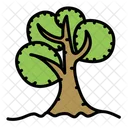 Baum  Symbol