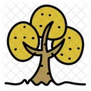 Baum  Symbol