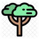 Baum  Symbol