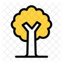 Baum  Symbol