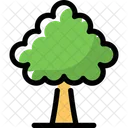 Baum  Symbol