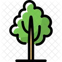 Baum  Symbol