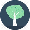 Baum  Symbol