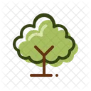 Baum  Symbol