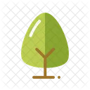 Baum  Symbol