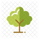 Baum  Symbol