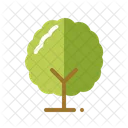 Baum  Symbol