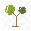 Baum  Symbol