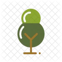 Baum  Symbol