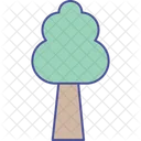 Baum  Symbol