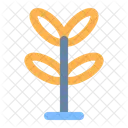 Baum  Symbol